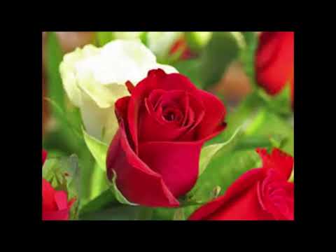 Mas Hermosa q una Flor  CLAUDIO VALLEJO PBrvtDDcdFk