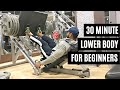 30 MINUTE LOWER BODY BEGINNER WORKOUT - Lower body workout for beginners