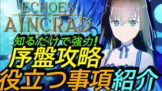 [SAOエコーズオブアインクラッド]攻略:序盤攻略のすすめ 知っておきたい重要知識まとめ紹介。 知るだけで最強!?[Echoes of Aincrad][PS5]