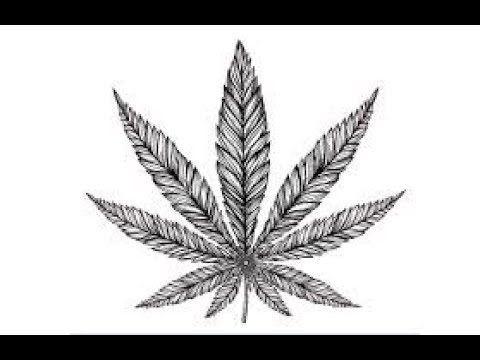 download lagu mp3 mp4 Hemp Flour Paleo, download lagu Hemp Flour Paleo gratis, unduh video klip Hemp Flour Paleo