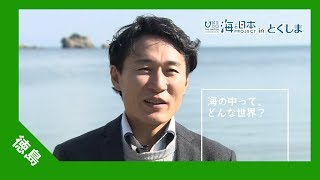 海と日本プロジェクト