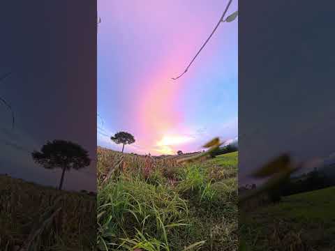 Flores Costa Cuca atardecer