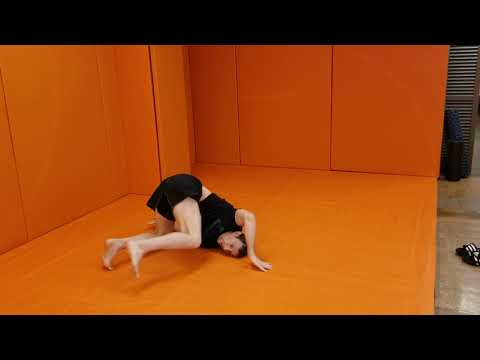 Solo Drill:  Shoulder Roll, Back Door Inversion, Triangle, Sit Through