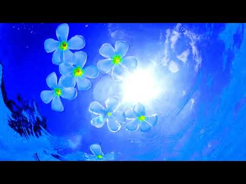 Kumo no Gakkou Haru-iro no Melody Takako Okamura