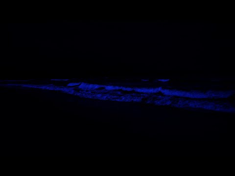 Deep Sleep Relaxing - Forget Negative Thoughts To Sleep Instantly with Ocean Sounds at Night No Ads