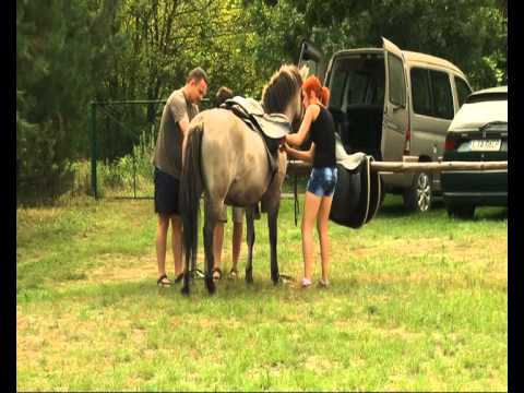 z wizyta w Doboszowka