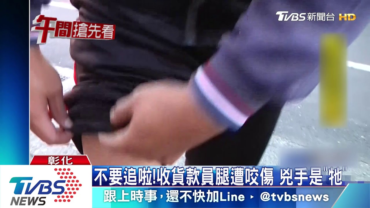 要養就要管好!混種邊境牧羊犬無綁繩 追咬收貨款員
