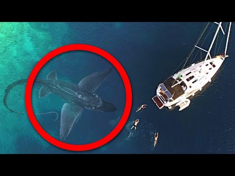 Seeungeheuer, Die Boote Vor Laufender Kamera Angreifen