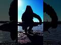 Video Thumbnail for Lake Sturgeon #shorts #fishing #catchandrelease
