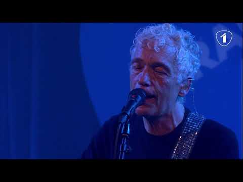 HET VOORDEEL VAN VIDEO - SPINVIS Live @ Radio 1 Sessie