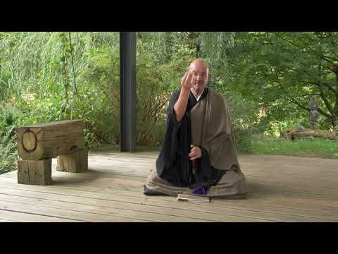 #5 ZEN MEDITATION: Regularity in Practice - Master Wang-Genh / English & German subtitles