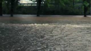 Scott Grimes-&quot;Young &amp; Wise&quot; Flood relief charity version