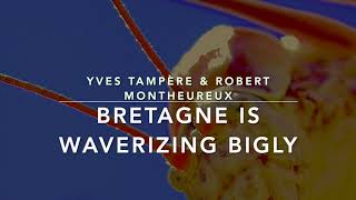 Bretagne is Waverizing Bigly by YTRM