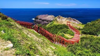 動画1