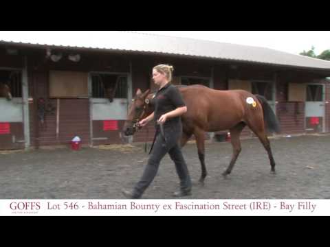Goffs UK Silver Sale 2016 - Lot 546 - Bahamian Bounty ex Fascination Street
