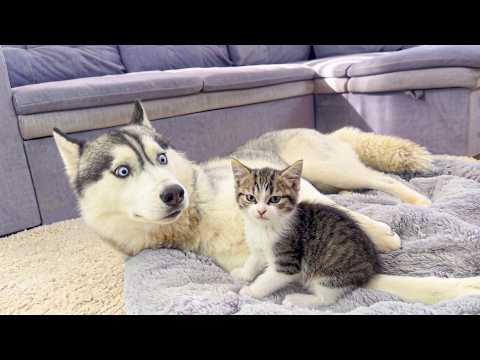 YouTube 썸네일
