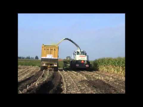 Gepa: Mais hakselen.