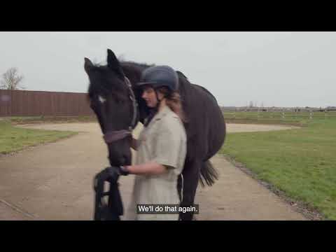 Dynamic Lameness Assessment