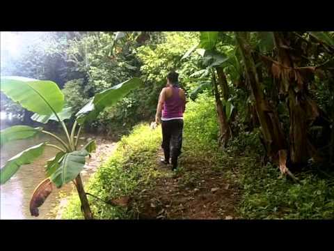 Il nostro viaggio alla Comunità Indigena Alto Guaymì in Costa Rica