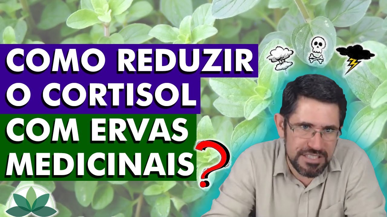 Como reduzir o CORTISOL