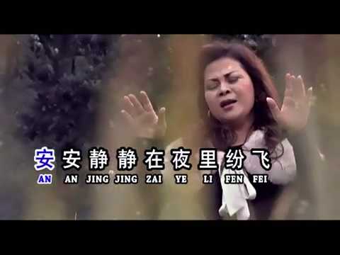 DONG XUE 冬雪 - Cover by Wang Ie Ling 王玉莲