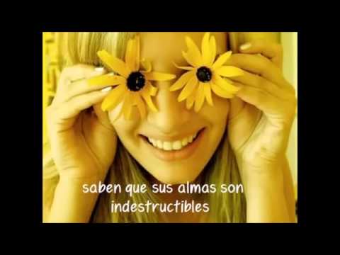 El Sexo Débil (Jaime Camil)