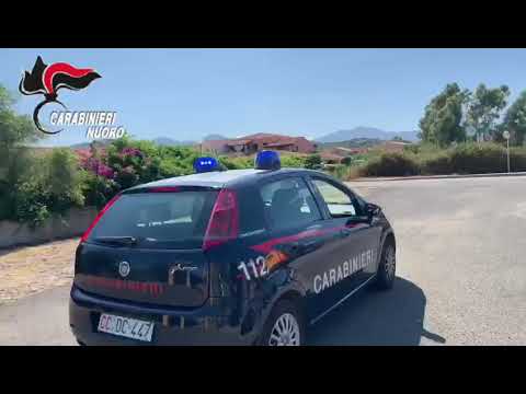 Budoni, maxipiantagione di marijuana