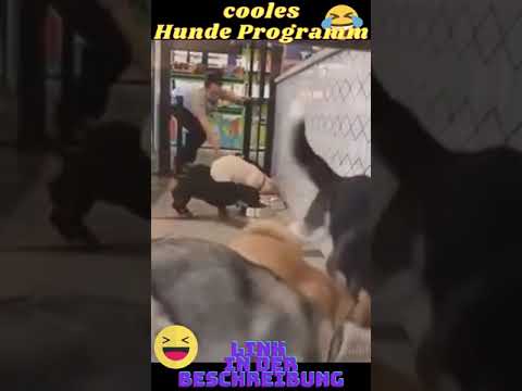 😂Montag morgen aufm Weg zur Arbeit... 😂 #shorts