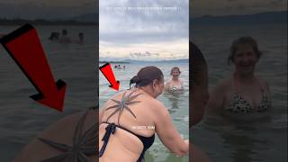 Starfish Is Not A Fish 😱 /#ytshorts #youtubeshorts #shortsvideo #fish #starfish