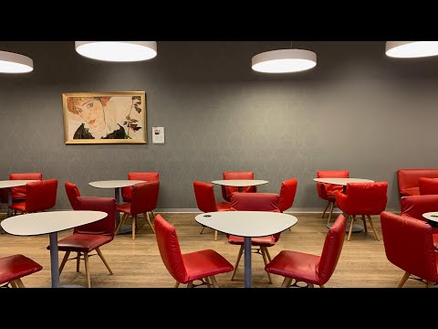 Salão do Senador Austríaco - Portas Schengen F, Viena (VIE)