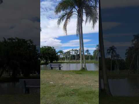 tijucas sc  #passeio #tijucas #santacatariana #quatromilhoras #donadecasa