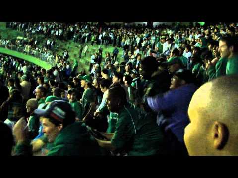 COXA COXA DOIDO- doido pelo VERDÃO!