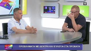 ΠΡΟΒΛΗΜΑΤΑ ΜΕ ΔΕΝΤΡΑ ΚΑΙ ΕΥΛΟΓΙΑ ΣΤΑ ΠΡΟΒΑΤΑ_ΔΗΜΗΤΡΗΣ ΣΤΑΥΡΙΔΗΣ 16 06 2025