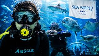 Download lagu Menyelam di Aquarium Legendaris Sea World Ancol, Pengalaman Tergila Gue! mp3
