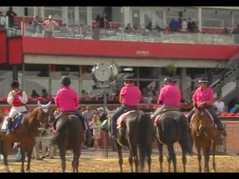 Jamie Costello live from Pimlico for Black-Eyed Susan Day