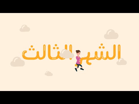 دليلك لمراحل تطور الحمل: الشهر الثالث | Month three of your pregnancy هنا hana