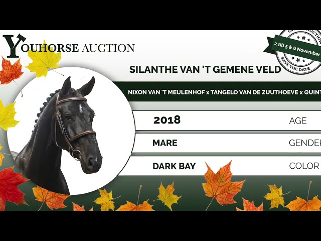 Silanthe showvideo