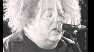 KING BUZZO - beatpol dresden - 3-9-2014