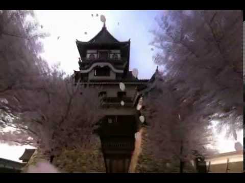 美術科 inuyama system