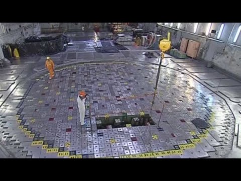 Ignalinos atominės elektrinės vadovui pareikšti įtarimai