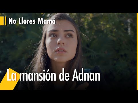 ¿Zeynep sabe que Adnan es su padre? - No Llores Mamá