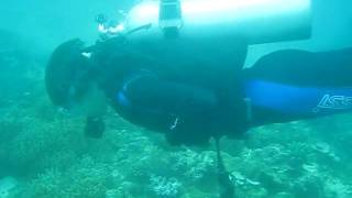 Mikael diving in Boracay, August 2009 (3)