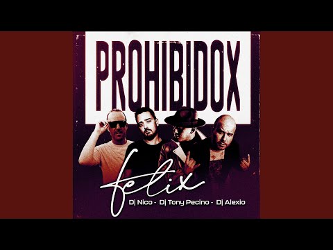 Prohibidox (Bachata Version)