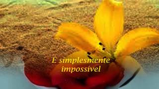 IT&#39;S IMPOSSIBLE  (EM PORTUGUÊS) - ELVIS PRESLEY