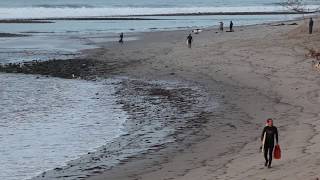 Jeff Ho & Allen Sarlo surf Malibu swell