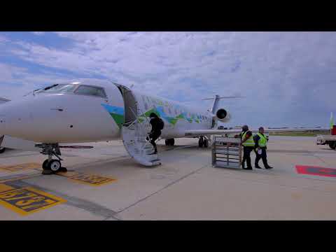 Scrappy  W - SAAGA  nw 2018