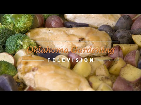 Sheet Pan Chicken - A Shape Your Future Recipe