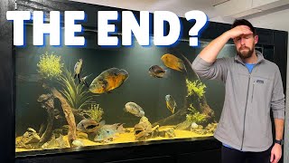 Is This the End of My 500-Gallon Aquarium? The Update I Didn’t Want to Share…