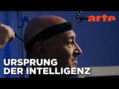 Video Thumbnail: Intelligent durch Beziehungen | Geheimnisse unseres Gehirns (2/2) | ARTE