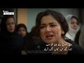 Hania Aamir Sad Dailouges Anna Drama | Anna Drama Scene | Hum Tv Anna Drama |s